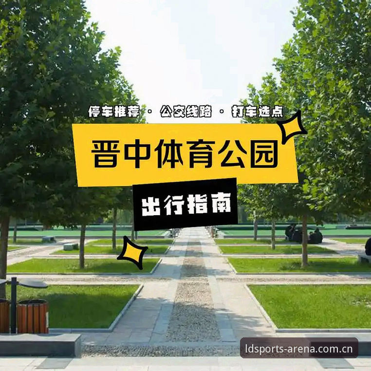 LDS体育平台高品质使用指南深度剖析：从注册到高玩的全面解析