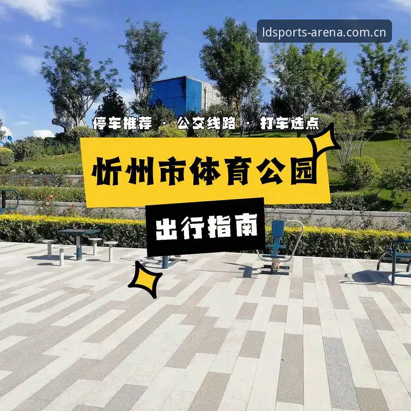 LDS体育平台高品质使用指南深度剖析：从注册到高玩的全面解析