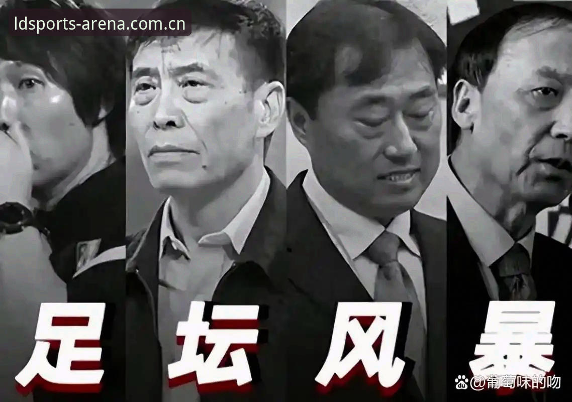 足协禁足风暴 vs 球迷观赛体验：LDS体育平台如何成为理解这场反腐浪潮的最佳窗口